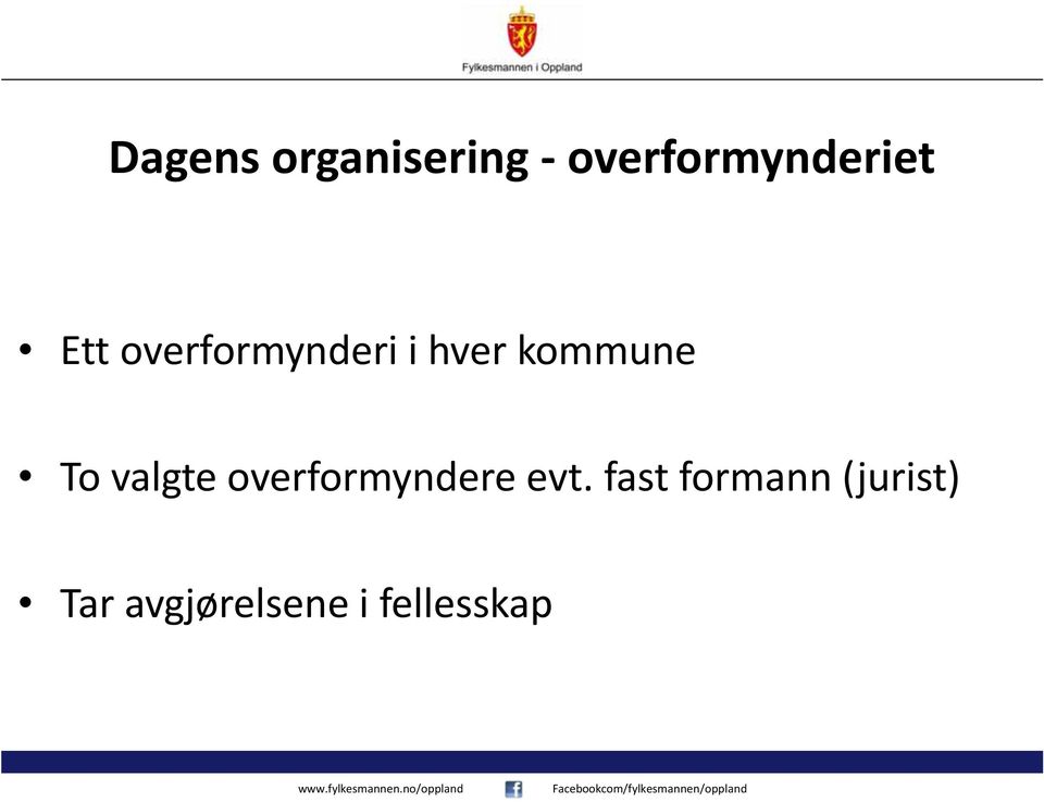 valgte overformyndere evt.