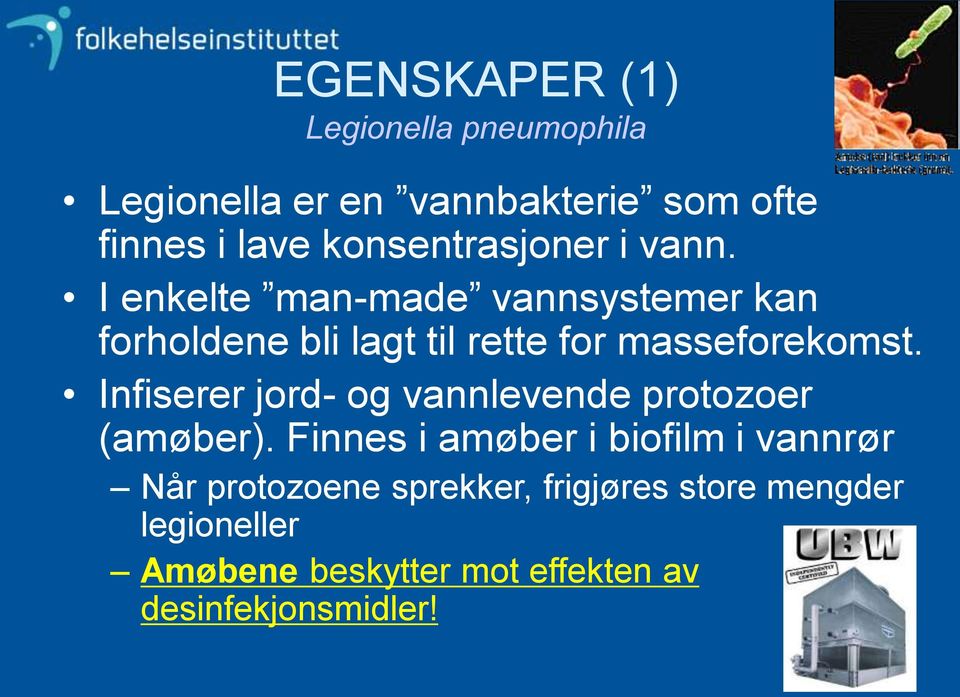 I enkelte man-made vannsystemer kan forholdene bli lagt til rette for masseforekomst.