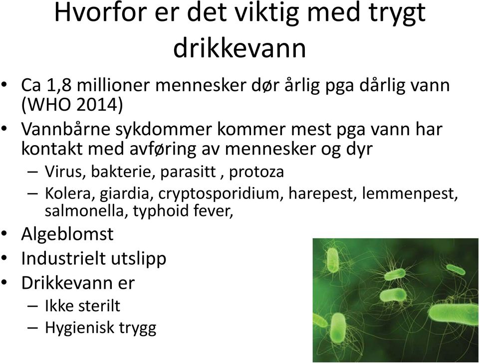 dyr Virus, bakterie, parasitt, protoza Kolera, giardia, cryptosporidium, harepest, lemmenpest,