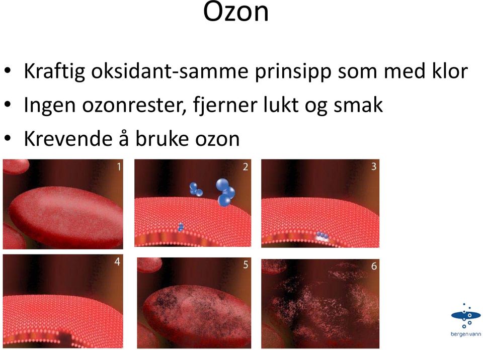 ozonrester, fjerner lukt og