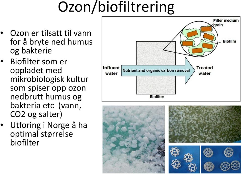 opp ozon nedbrutt humus og bakteria etc (vann, CO2 og salter)