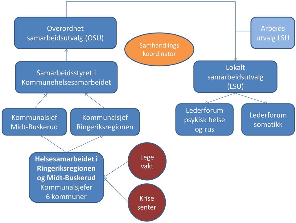 Kommunalsjef Ringeriksregionen Lederforum psykisk helse og rus Lederforum somatikk