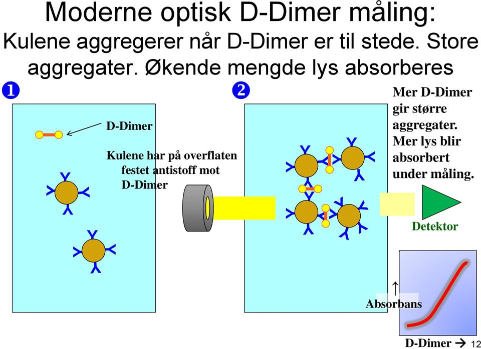 Økende mengde lys absorberes Y Y Y D-Dimer Kulene har på overflaten festet