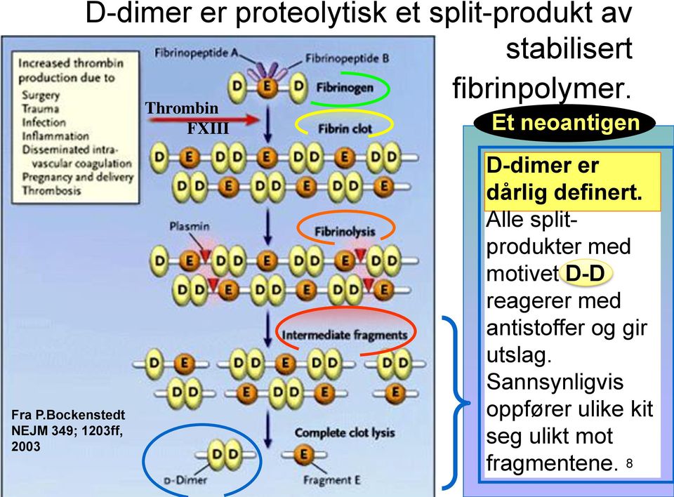 av stabilisert fibrinpolymer.