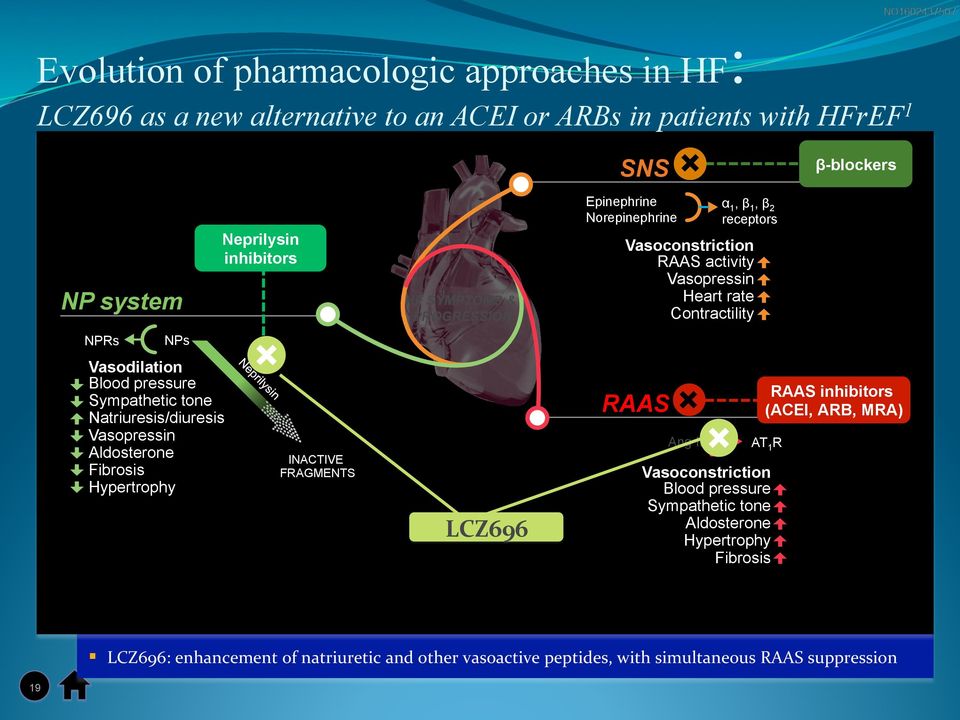 Epinephrine Norepinephrine RAAS Ang II α 1, β 1, β 2 receptors Vasoconstriction RAAS activity Vasopressin Heart rate Contractility AT 1 R Vasoconstriction Blood pressure