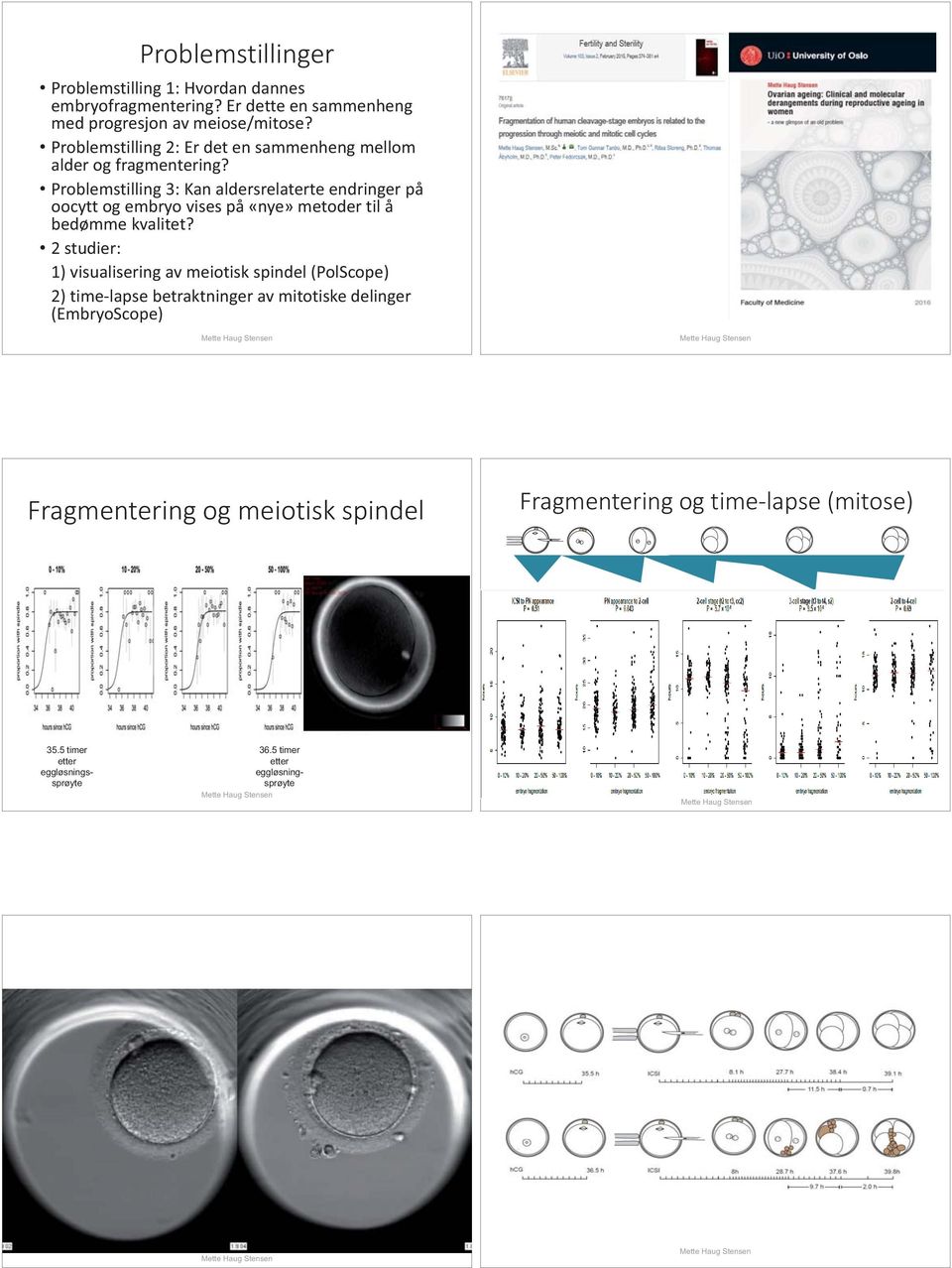 Problemstilling 3: Kan aldersrelaterte endringer på oocytt og embryo vises på «nye» metoder til å bedømme kvalitet?