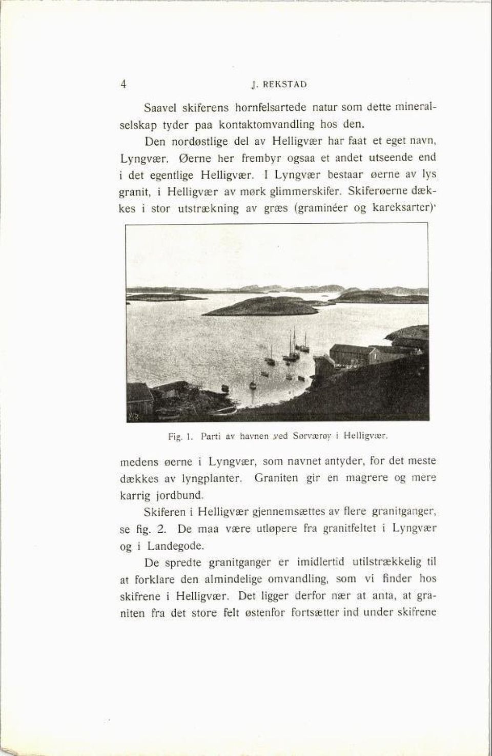 Skiferøerne dæk kes i stor utstrækning av græs (graminéer og kareksarter)' Fig. 1. Parti av havnen.ved Sørværøy i Helligvær.