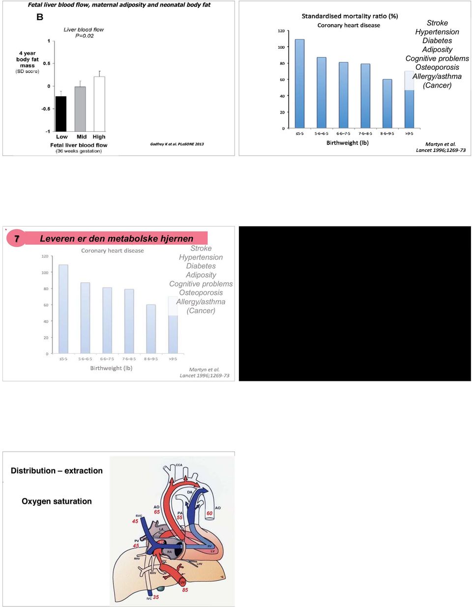 PLoSONE 213 Dept of Prenatal Medicine, Linz - Austria 7 Leveren er den metabolske hjernen Stroke