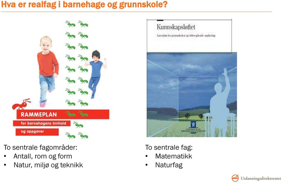 To sentrale fagområder: Antall, rom