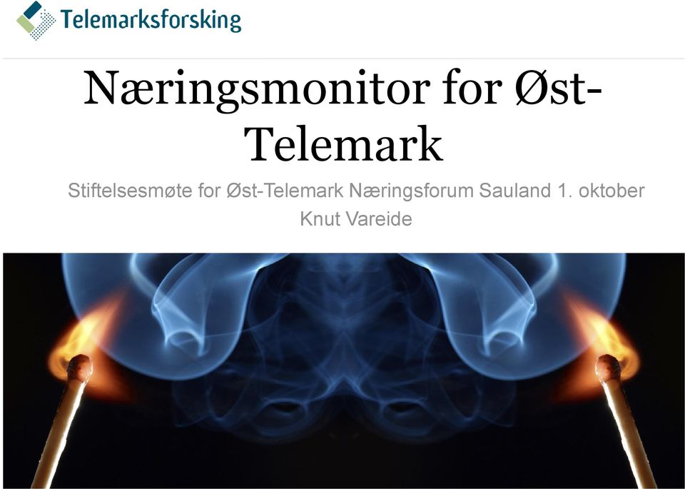 Øst-Telemark Næringsforum