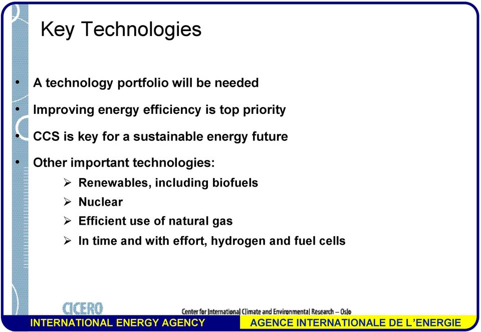 Renewables, including biofuels Nuclear Efficient use of natural gas In time and with