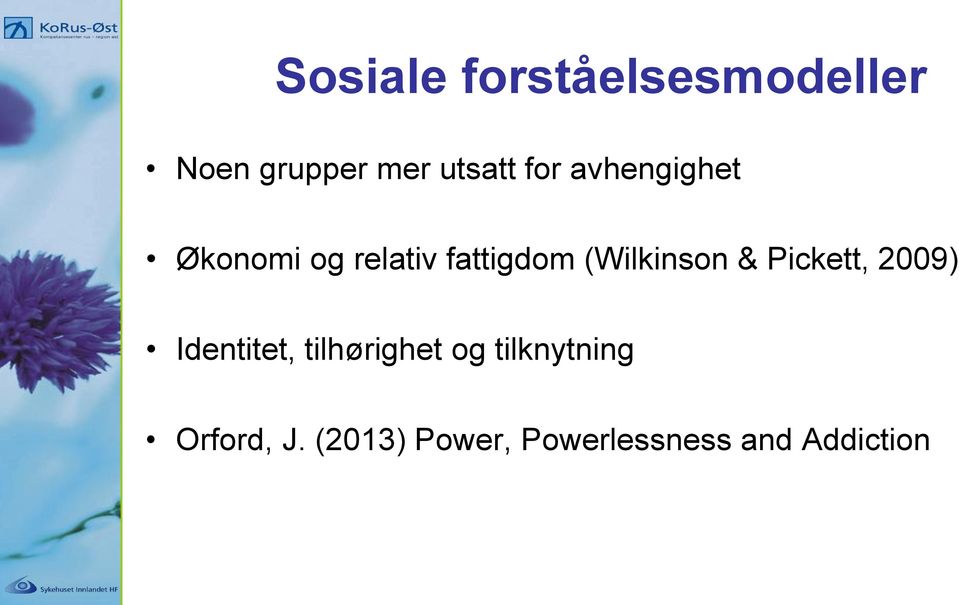 (Wilkinson & Pickett, 2009) Identitet, tilhørighet og