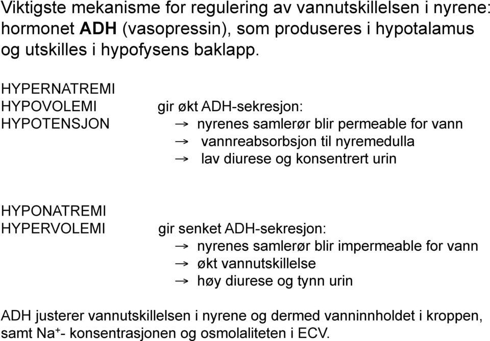 HYPERNATREMI HYPOVOLEMI HYPOTENSJON gir økt ADH-sekresjon: nyrenes samlerør blir permeable for vann vannreabsorbsjon til nyremedulla lav diurese