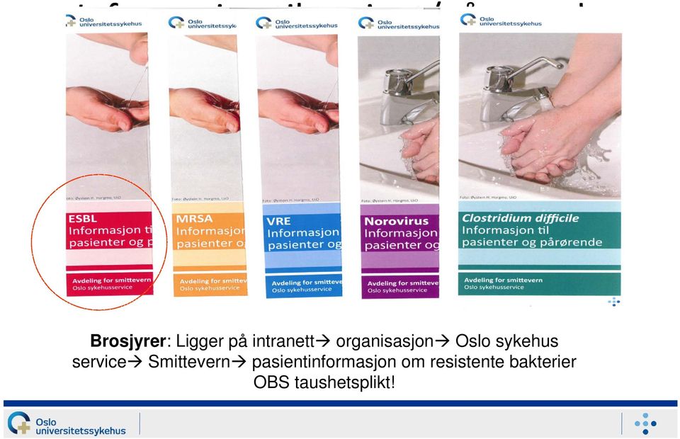 organisasjon Oslo sykehus service