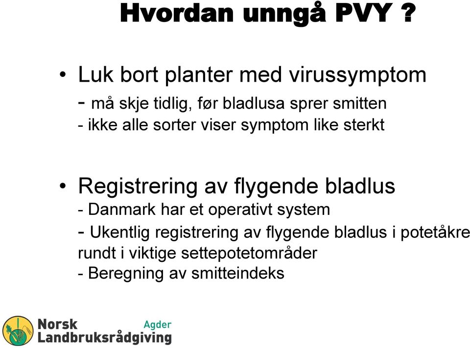 ikke alle sorter viser symptom like sterkt Registrering av flygende bladlus -