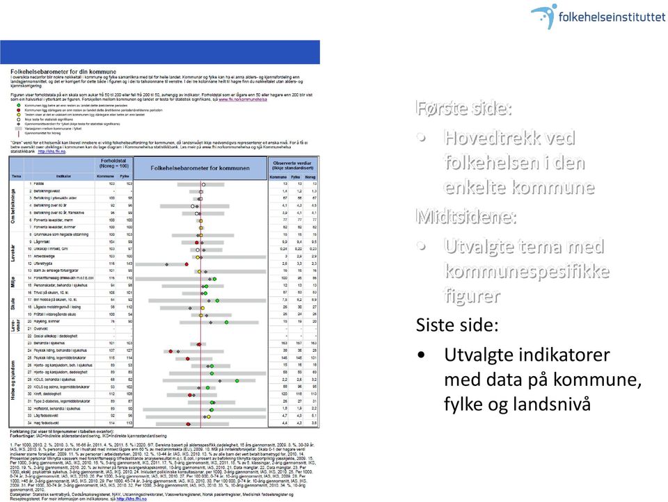 kommunespesifikke figurer Siste side: Utvalgte