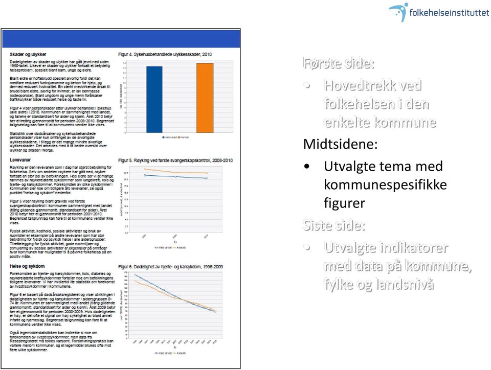 kommunespesifikke figurer Siste side: Utvalgte