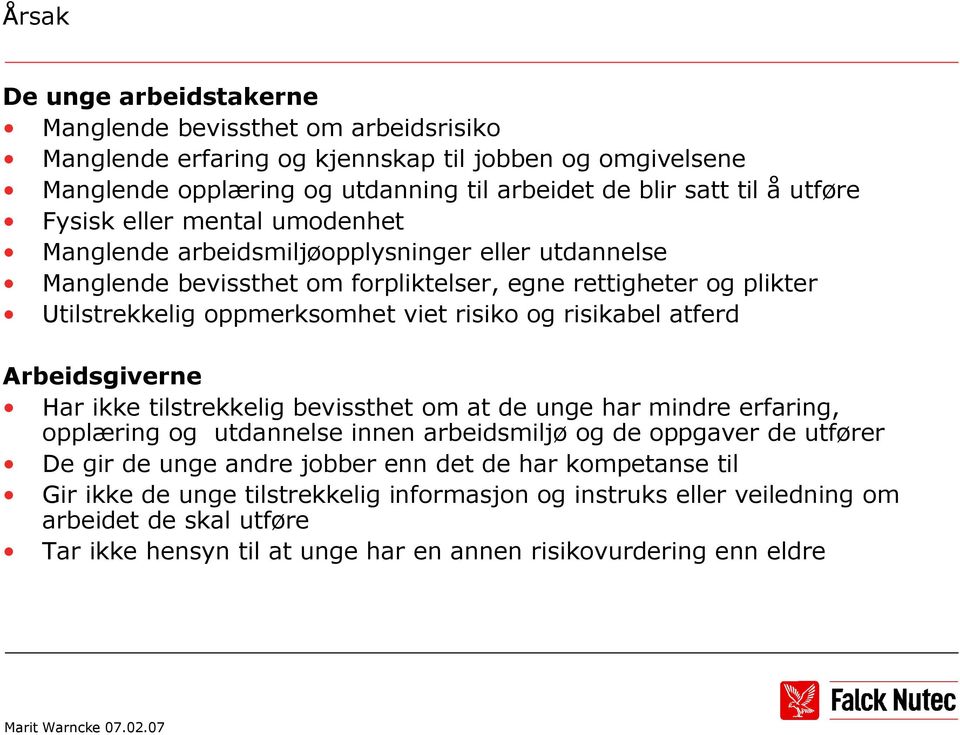 risiko og risikabel atferd Arbeidsgiverne Har ikke tilstrekkelig bevissthet om at de unge har mindre erfaring, opplæring og utdannelse innen arbeidsmiljø og de oppgaver de utfører De gir de unge