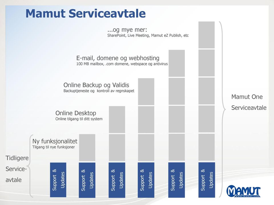 com domene, webspace og antivirus Online Backup og Validis Backuptjeneste og kontroll av regnskapet Online Desktop