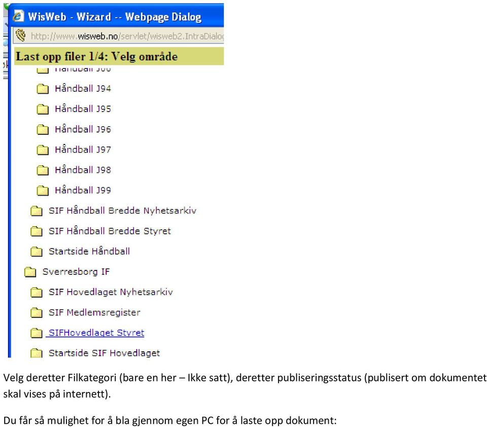 dokumentet skal vises på internett).