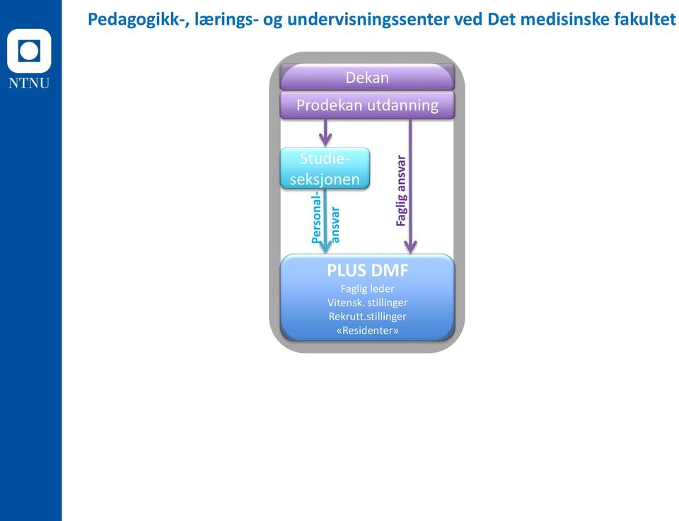 Faglig ansvar Dekan Prodekan utdanning PLUS DMF