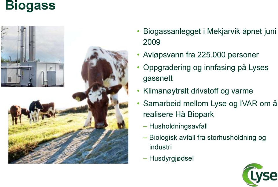 drivstoff og varme Samarbeid mellom Lyse og IVAR om å realisere Hå Biopark
