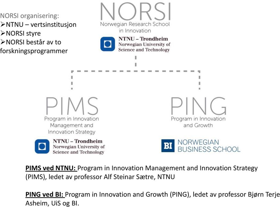 Innovation Strategy (PIMS), ledet av professor Alf Steinar Sætre, NTNU PING ved