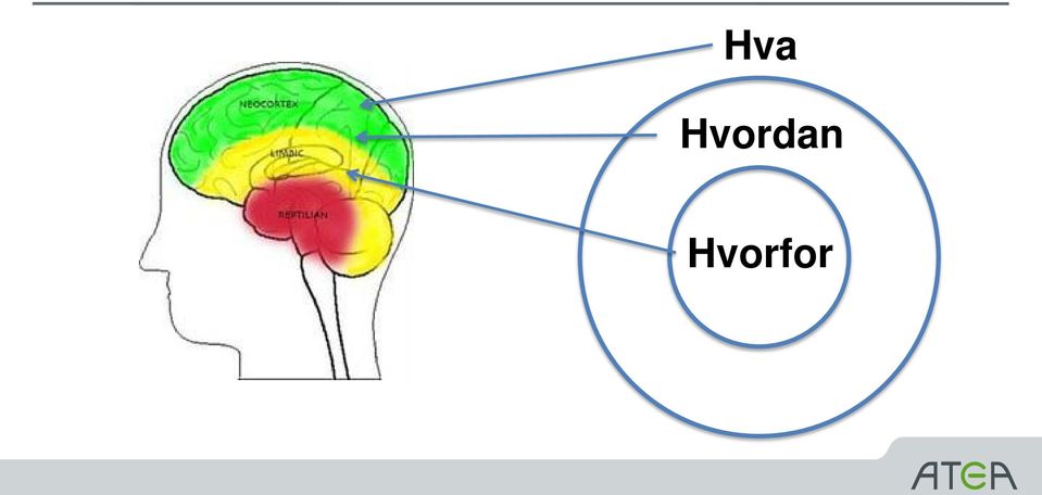 Hvorfor