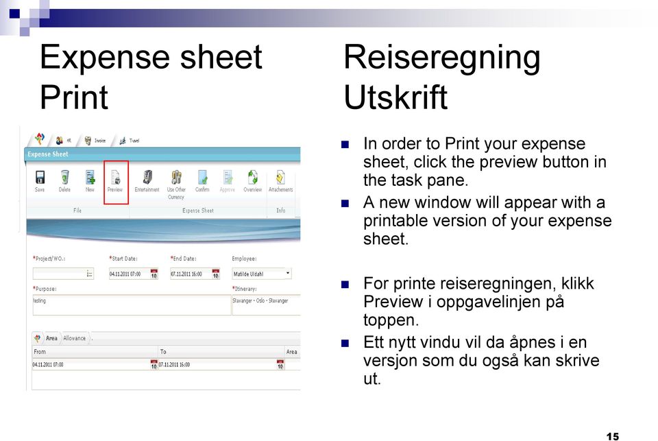 A new window will appear with a printable version of your expense sheet.