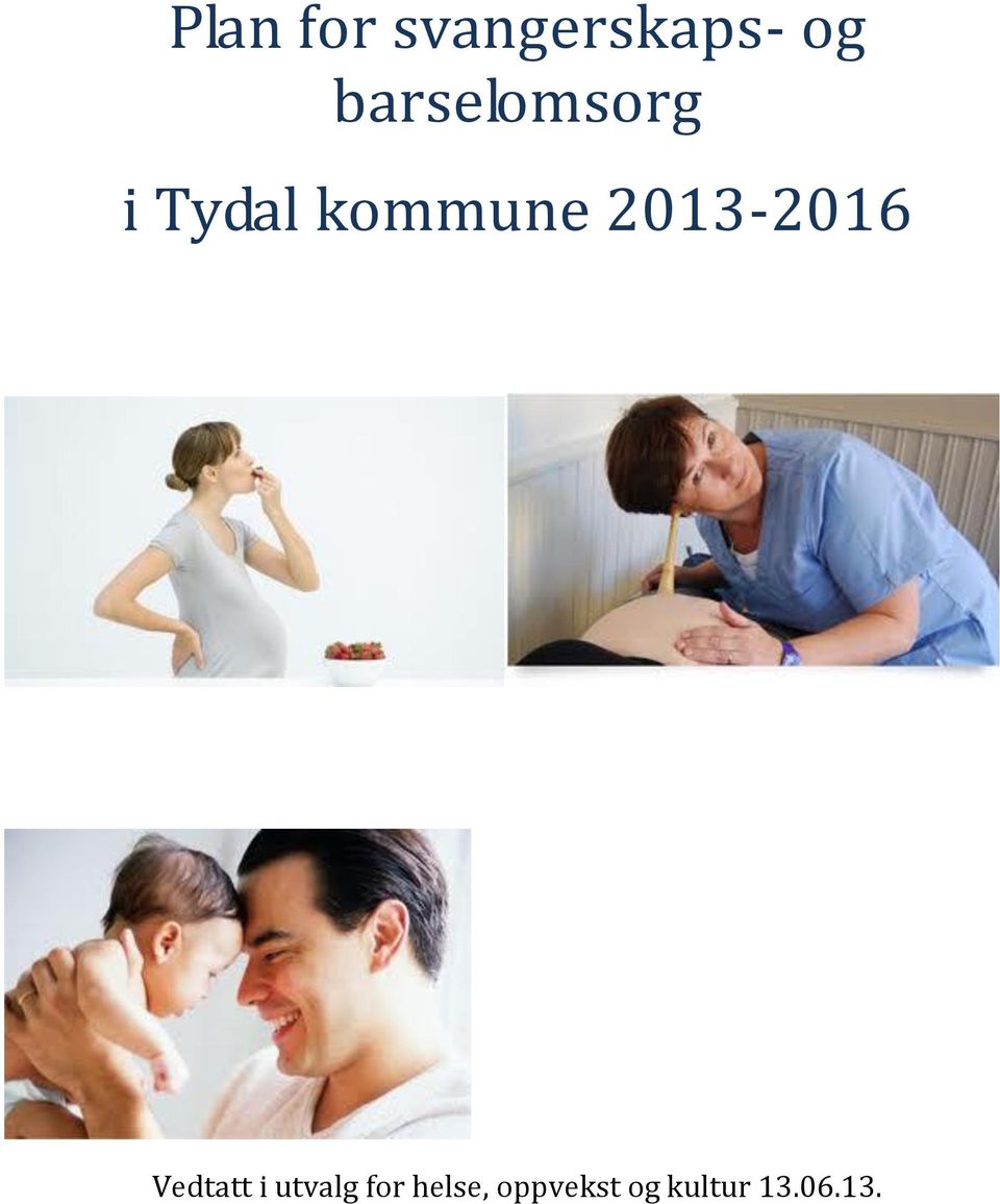 2013-2016 Vedtatt i utvalg for
