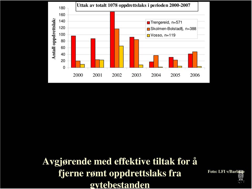 n=388 Vosso, n=119 2000 2001 2002 2003 2004 2005 2006 Avgjørende med