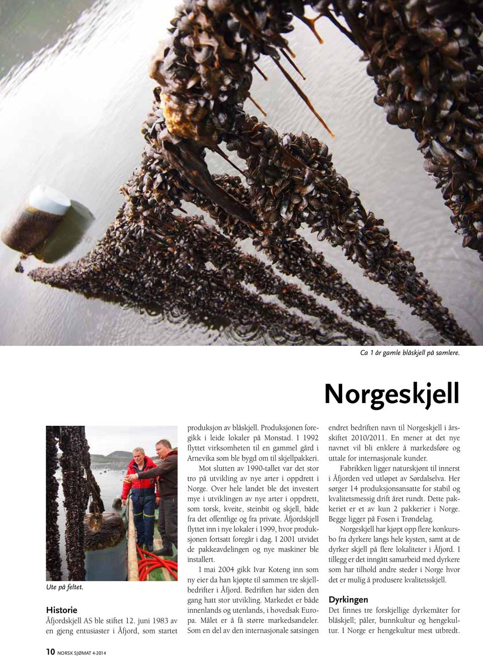 Mot slutten av 1990-tallet var det stor tro på utvikling av nye arter i oppdrett i Norge.