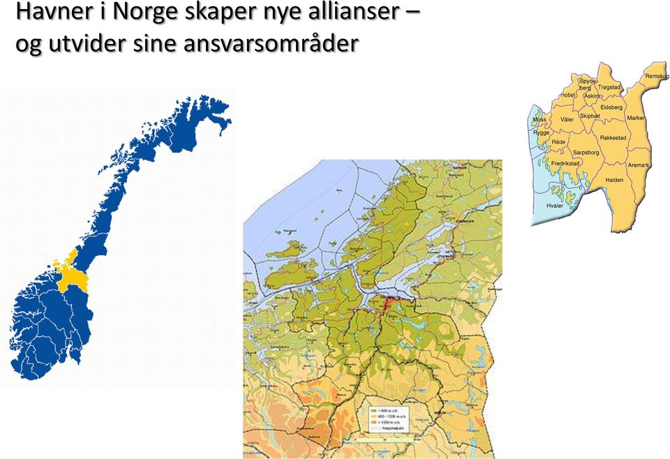 allianser og