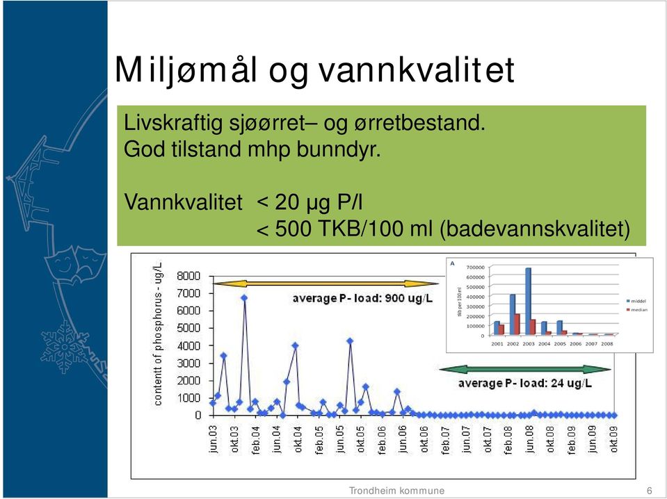 God tilstand mhp bunndyr.