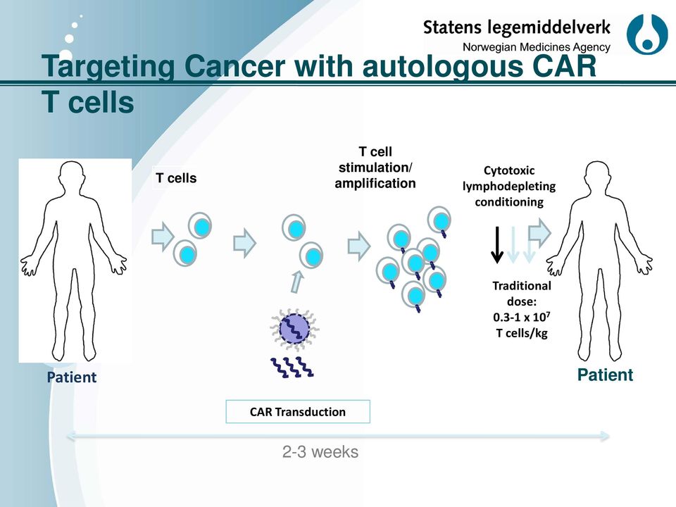 lymphodepleting conditioning Traditional dose: 0.