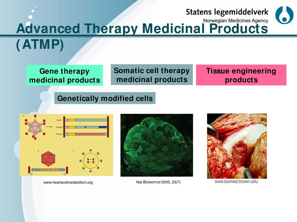 Tissue engineering products Genetically modified cells www.