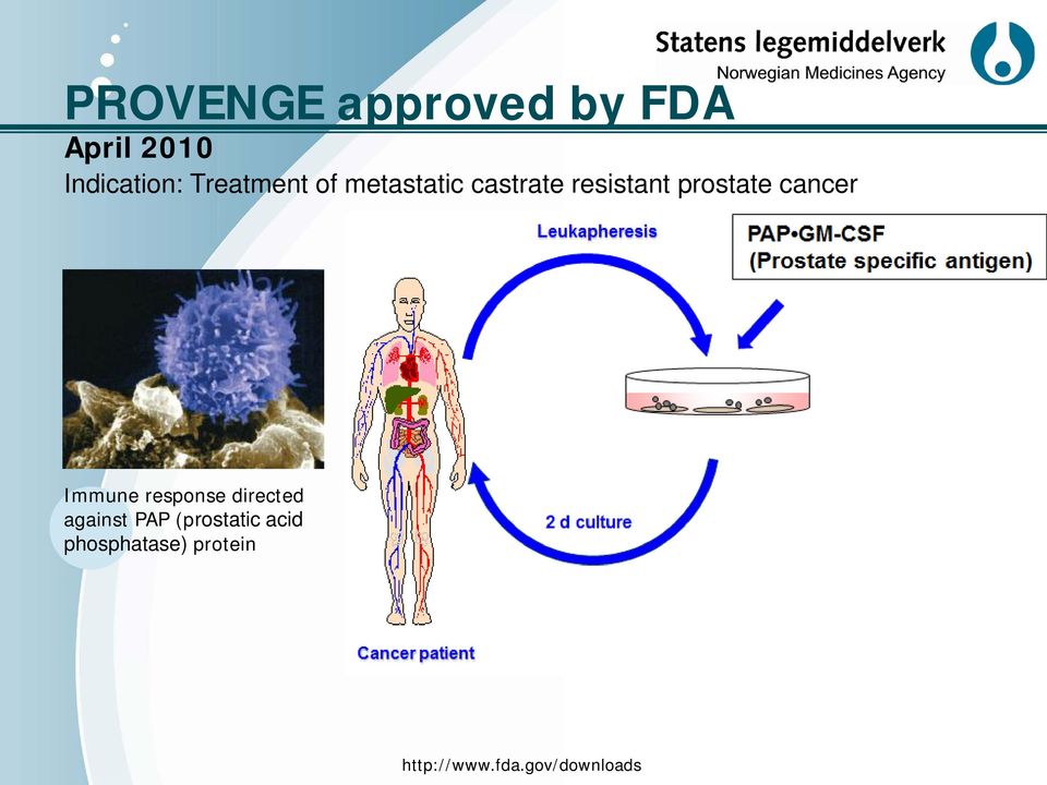 cancer Immune response directed against PAP
