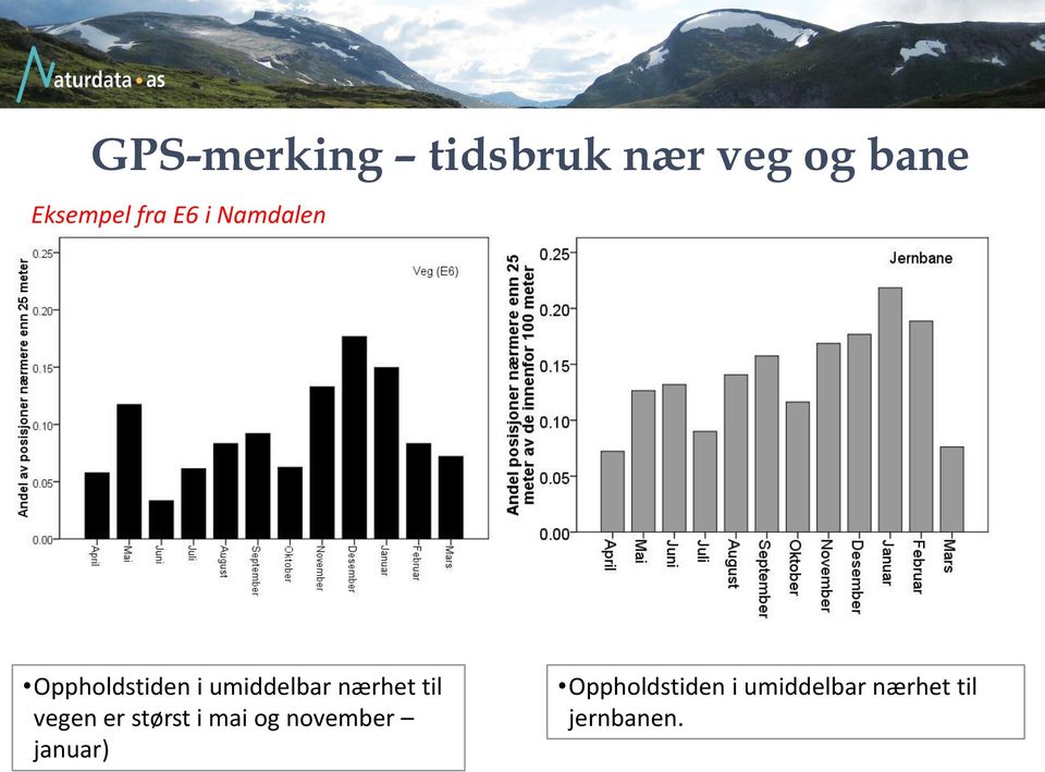 nærhet til vegen er størst i mai og november