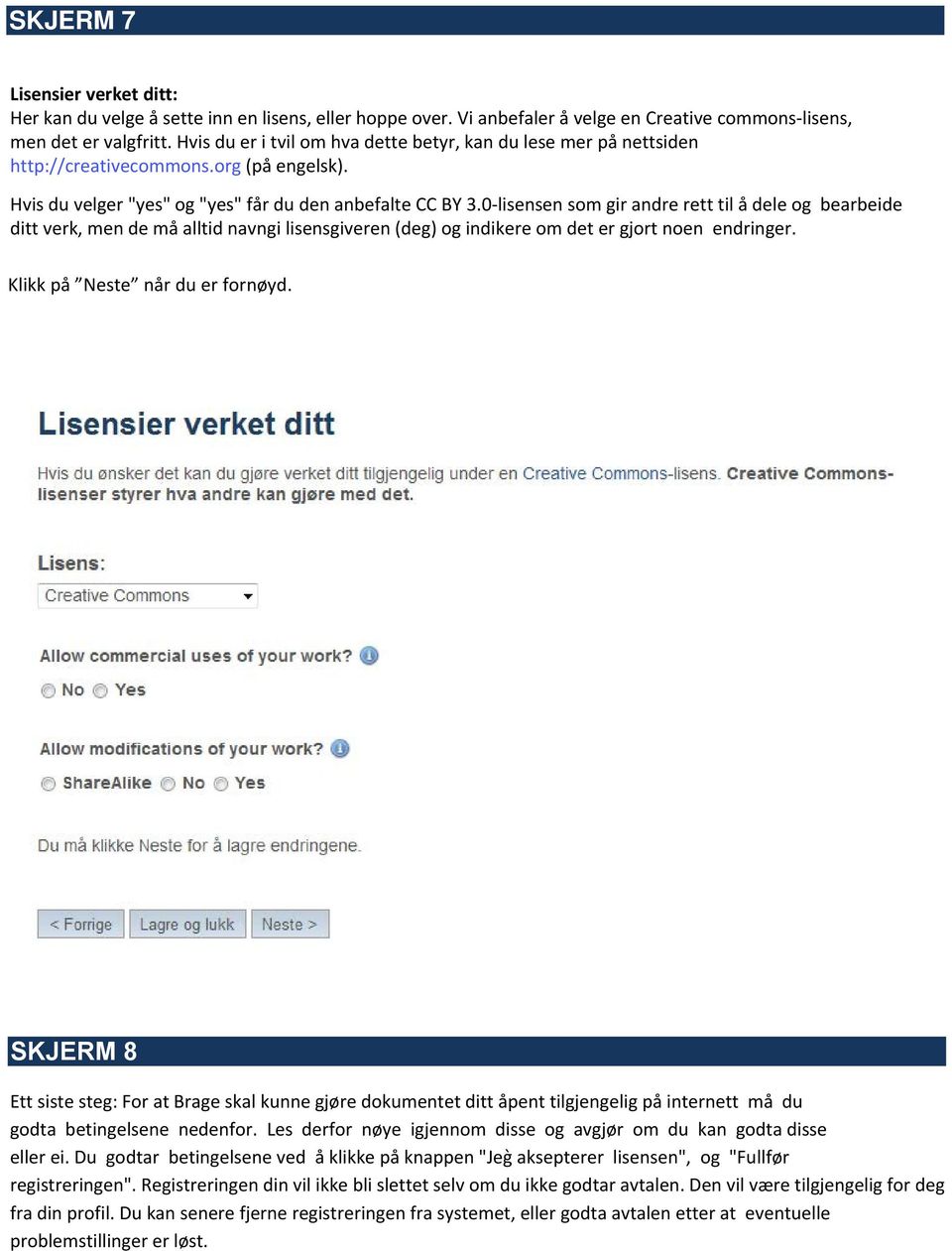 0-lisensen som gir andre rett til å dele og bearbeide ditt verk, men de må alltid navngi lisensgiveren (deg) og indikere om det er gjort noen endringer. Klikk på Neste når du er fornøyd.