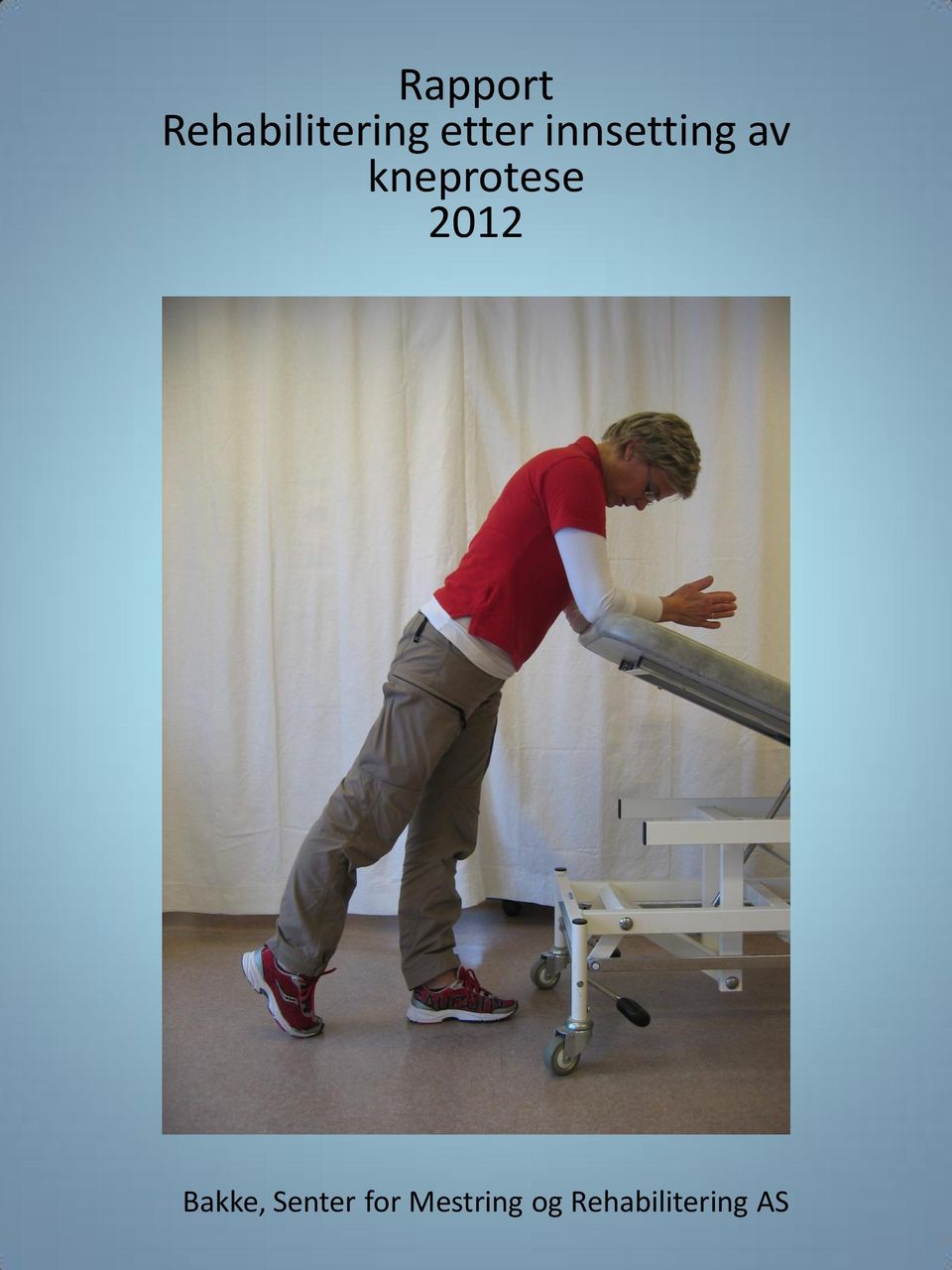 kneprotese 2012 Bakke,