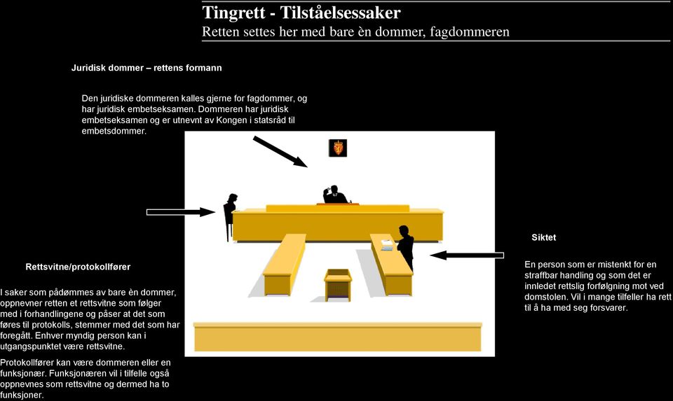 Siktet Rettsvitne/protokollfører I saker som pådømmes av bare èn dommer, oppnevner retten et rettsvitne som følger med i forhandlingene og påser at det som føres til protokolls, stemmer med det som