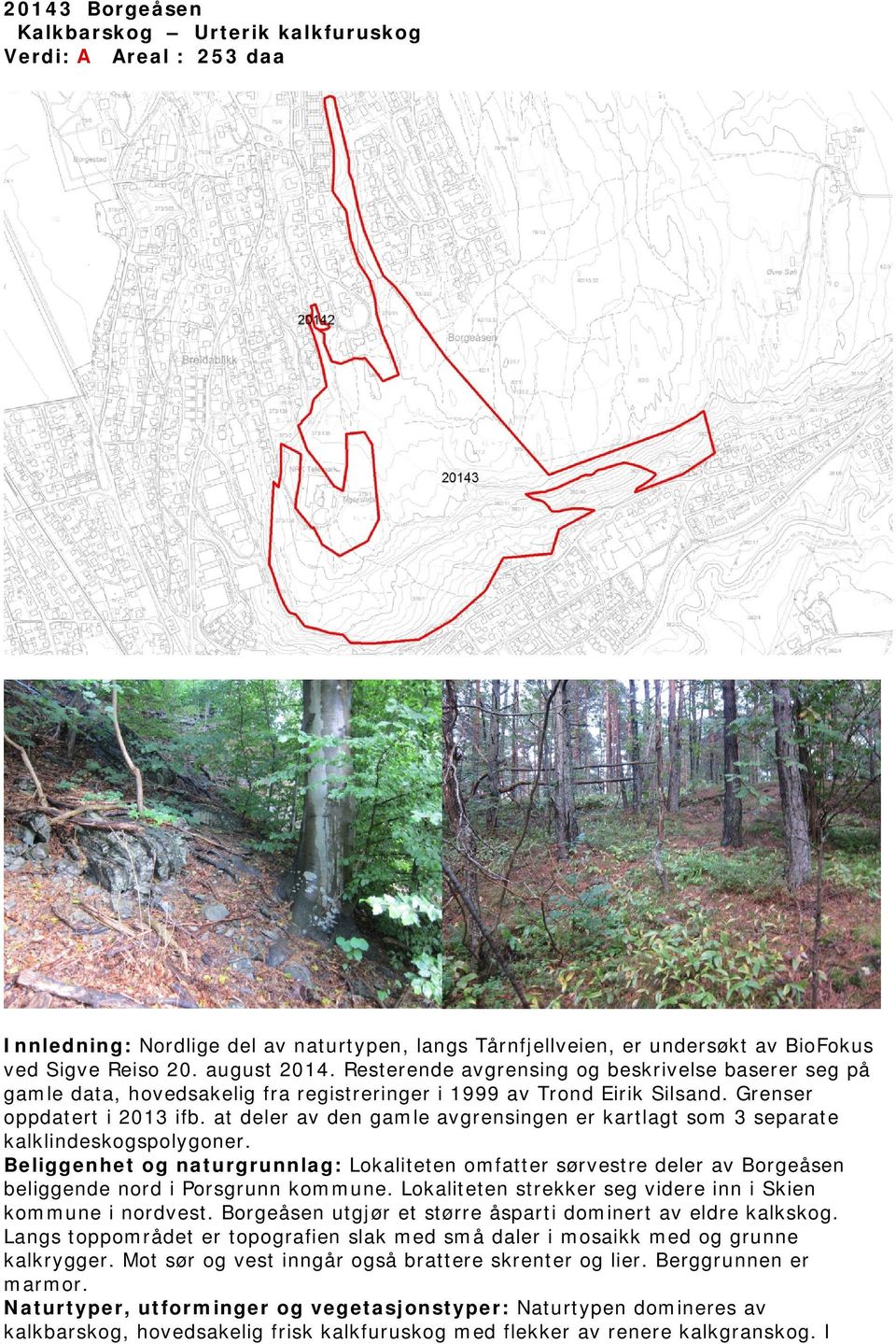 at deler av den gamle avgrensingen er kartlagt som 3 separate kalklindeskogspolygoner.