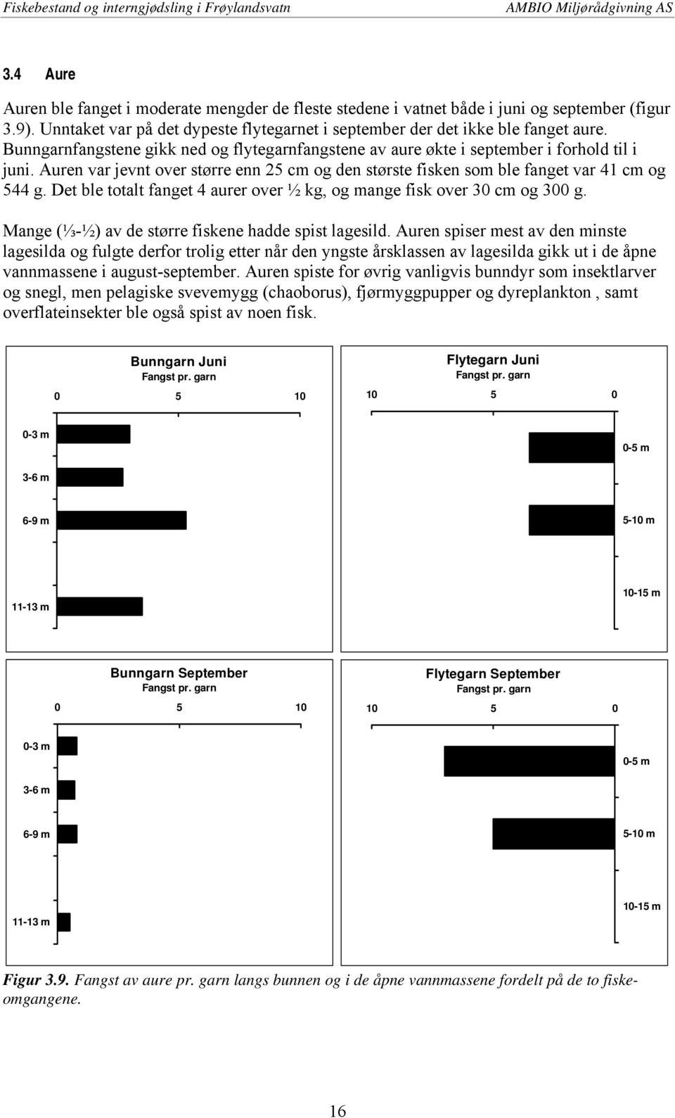 Det ble totalt fanget 4 aurer over ½ kg, og mange fisk over 30 cm og 300 g. Mange (⅓-½) av de større fiskene hadde spist lagesild.