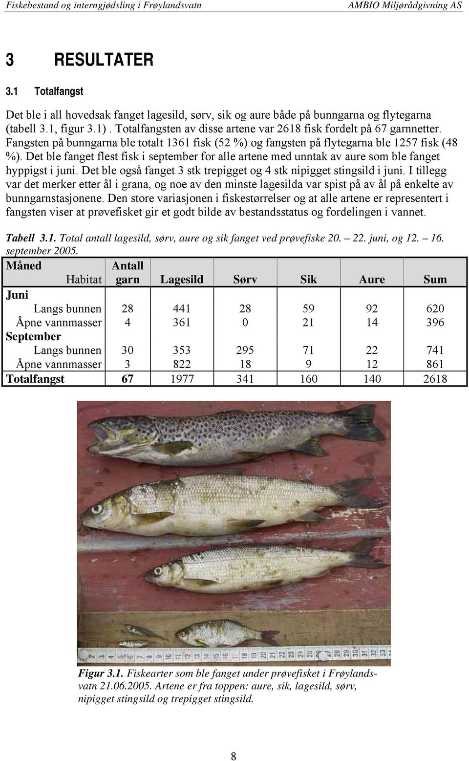 Det ble fanget flest fisk i september for alle artene med unntak av aure som ble fanget hyppigst i juni. Det ble også fanget 3 stk trepigget og 4 stk nipigget stingsild i juni.