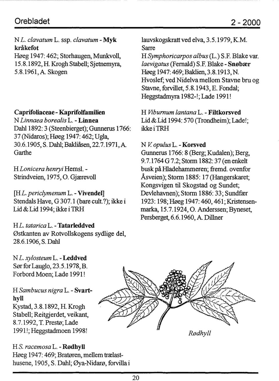 Gjærevoll [HL. periclymenum L. - Vivendel] Stendals Have, G 307.1 (bare cult.?); ikke i Lid & Lid 1994; ikke i TRH HL. tatariea L. - Tatarleddved østkanten av Rotvollskogens sydlige del, 28.6.1906, S.