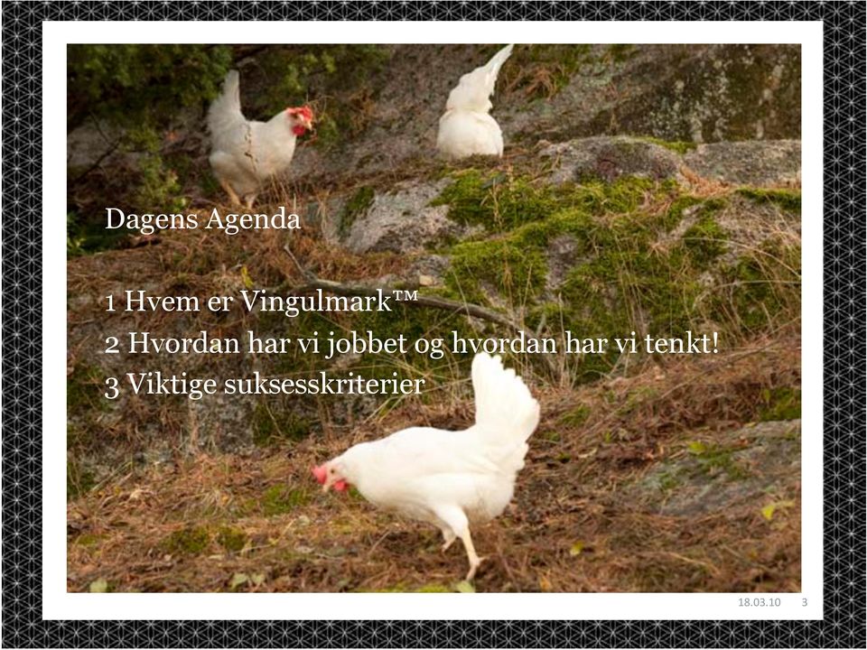 3 Viktige suksesskriterier Norwegian Organic