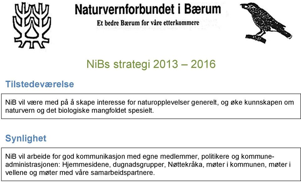 Synlighet NiB vil arbeide for god kommunikasjon med egne medlemmer, politikere og