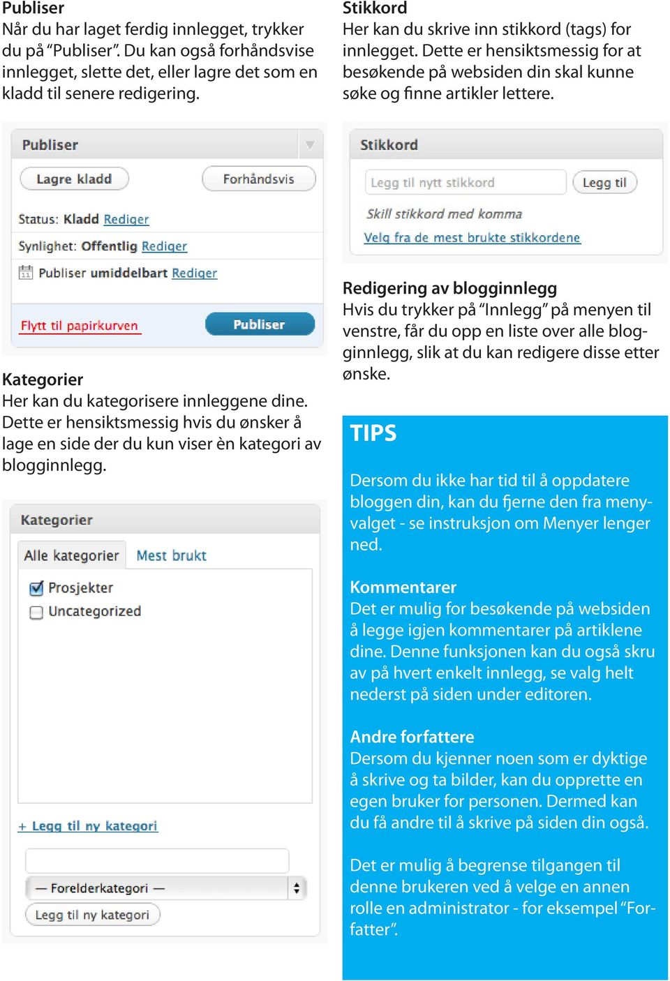 Kategorier Her kan du kategorisere innleggene dine. Dette er hensiktsmessig hvis du ønsker å lage en side der du kun viser èn kategori av blogginnlegg.