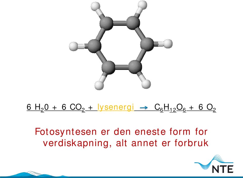 Fotosyntesen er den eneste