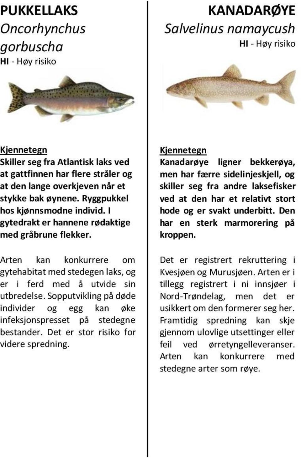 Sopputvikling på døde individer og egg kan øke infeksjonspresset på stedegne bestander. Det er stor risiko for videre spredning.